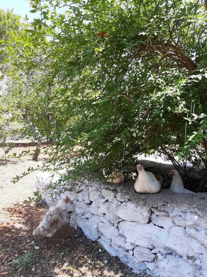 Trullo Fellone Villa Ceglie Messapica Ngoại thất bức ảnh